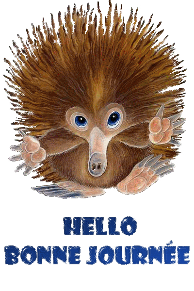 bonne journee